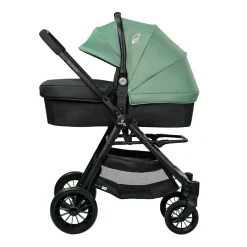 ASALVO - Trío Ecuador 2 Verde