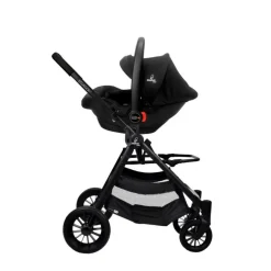 ASALVO - Trío Ecuador 2 Verde