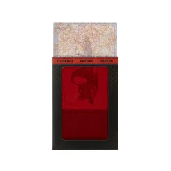 DC COMICS Batman - Figura con accesorios The Batman* Figuras De Acción