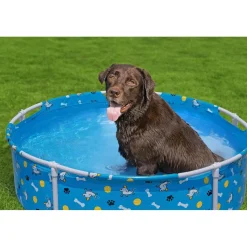 BEST WAY BestWay - Piscina de juego para mascotas* Piscinas|Juguetes De Verano