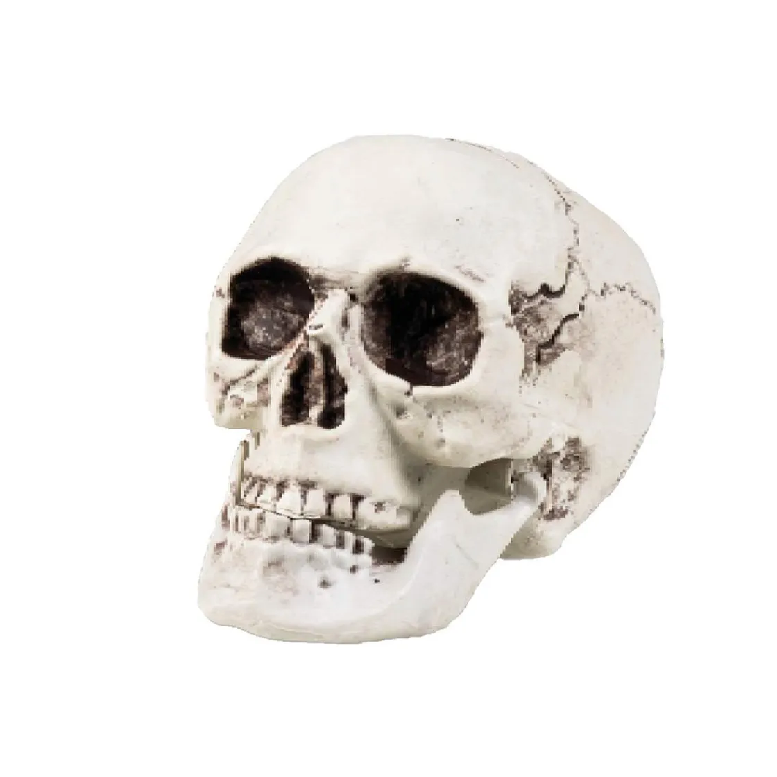 EDUCA BORRAS Calavera decorativa Halloween (varios modelos) ㅤ