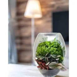 CEFA Toys - Terrario educativo con luz y libro guía Botani Plus ㅤ