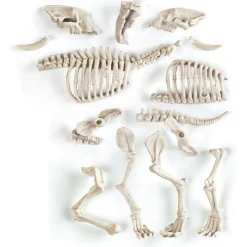 CLEMENTONI - Juego científico de excavación y montaje Smilodon fosforescente ㅤ