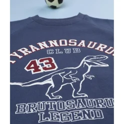 Prenatal Conjunto jogging azul y burdeos para niño* Niño·Niño 2-10 Años|Niño 2-10 Años·Conjuntos Y Deporte