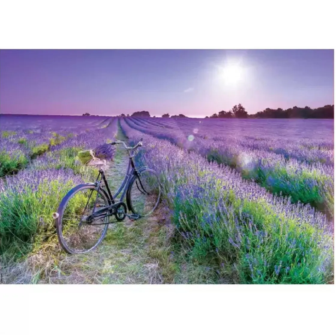 EDUCA BORRAS Educa Borrás - Bicicleta en campo de lavanda - Puzzle 1000 piezas* Juegos Y Puzzles