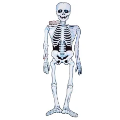TOYS "R" US Esqueleto de papel 140 cm* Disfraces|Halloween
