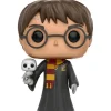 FUNKO UK LIMITED Funko Pop! - Harry Potter - Harry Potter con Hedwig