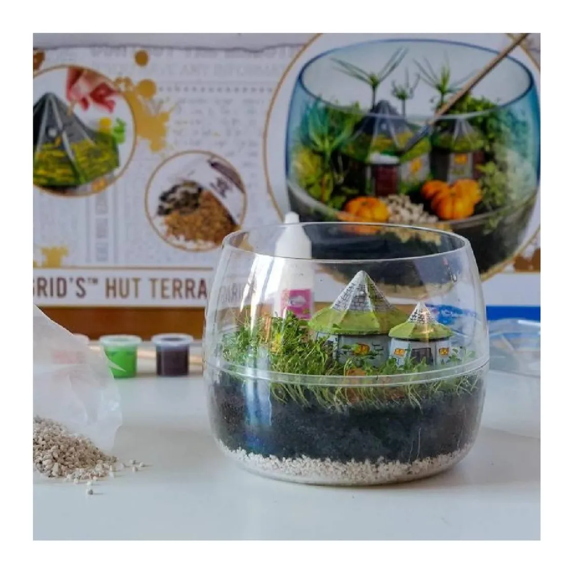 CLEMENTONI Harry Potter - El terrario de Hagrid* Steam