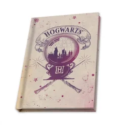 ABYSSE CORP Harry Potter - Estuche para regalo* Friki Zone