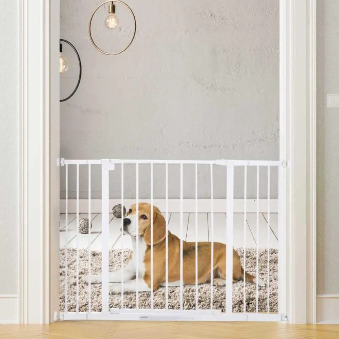 TOYS R US CE Homcom - Barrera Metálica para perro