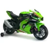 INJUSA - Moto Kawasaki Ninja ZX R10 12V Litio