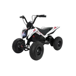 INJUSA - Quad Hunter 24V