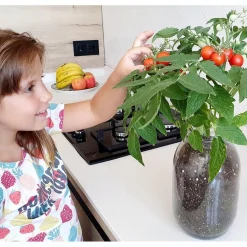 GARDEN POCKET Kit de cultivo de tomate Cherry orgánico para interior