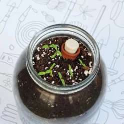 GARDEN POCKET Kit de cultivo de tomate Cherry orgánico para interior