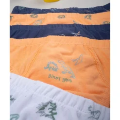 Prenatal Pack de 7 Braguitas de Dinosaurios* Descanso Y Ropa Interior·Infantil 2-10 Años