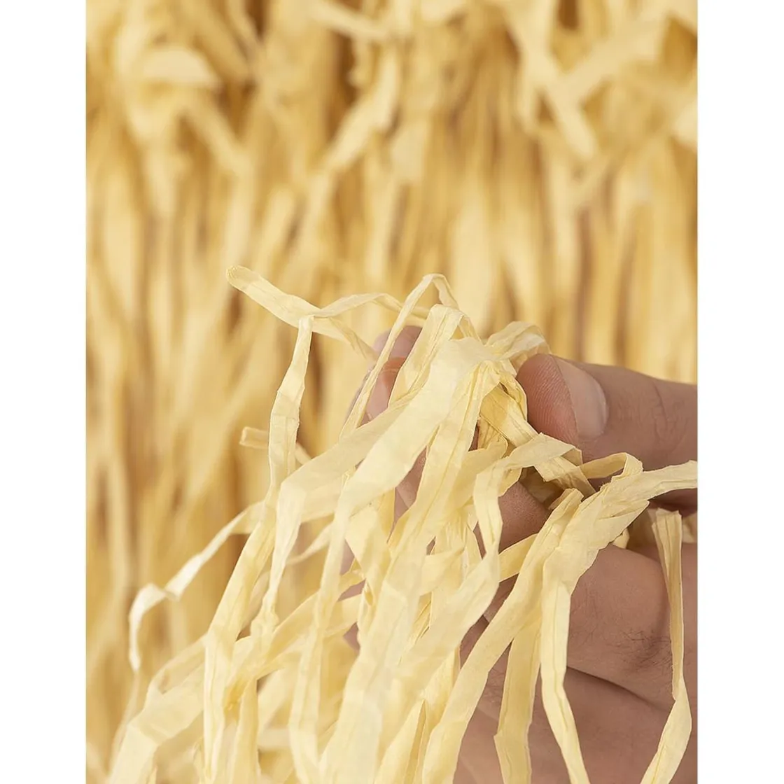 Funidelia Primo Eso La Familia Addams Talla única