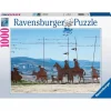RAVENSBURGER IBÉRICA Ravensburger - Camino de Santiago - Puzzle 1000 piezas* Juegos Y Puzzles