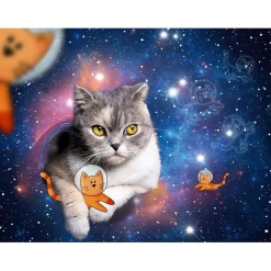 RAVENSBURGER IBÉRICA Ravensburger - Puzzle de gatos volando en el espacio, 1500 piezas ㅤ