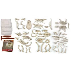 CLEMENTONI Set de Excavación Dinosaurios 5 en 1