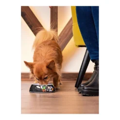 ARTESANIA CERDÁ Star Wars - Comedero para perros tamaño S