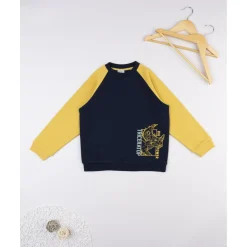 Prenatal Sudadera niño azul/amarilla “Triceratops” raglán* Niño·Niño 2-10 Años|Niño 2-10 Años·Abrigos Y Plumíferos