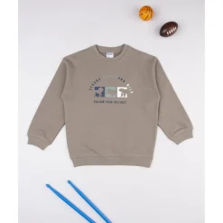 Prenatal Sudadera niño marrón dinosaurios