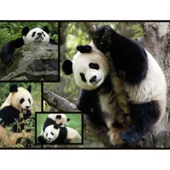 WWF - Pandas - Puzzle 1000 piezas* Steam